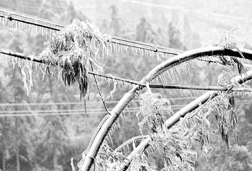 覆冰監(jiān)測 覆冰監(jiān)測